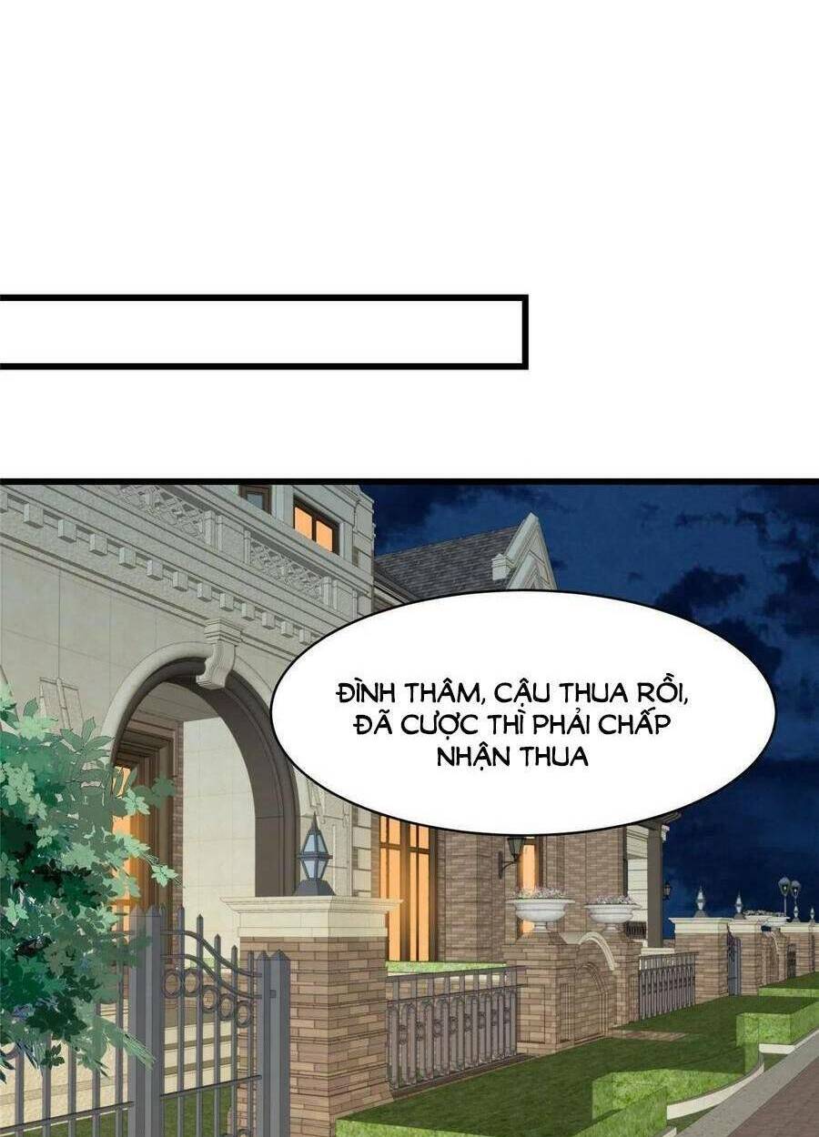 lưng dựa núi lớn đứng vững c vị chapter 143 - Next chapter 144